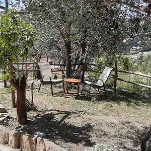 Appartamento Ulivo